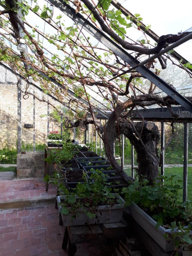 Les Lilas De Bellefontaine Bayeux Zewnętrze zdjęcie